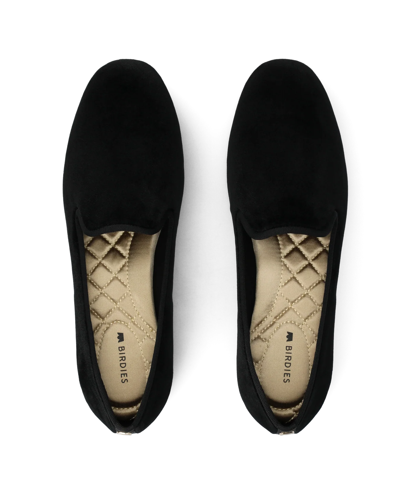 The Starling - Black Velvet - Image 4