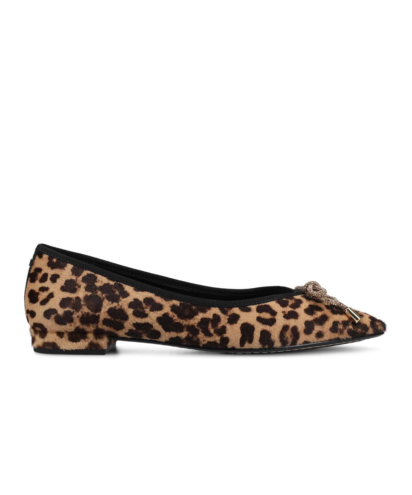 The Goldfinch 15 - Leopardprint Haircalf - Image 3